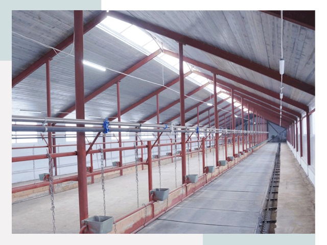 Строительство коровников в Соли-Илецке от 625 руб.