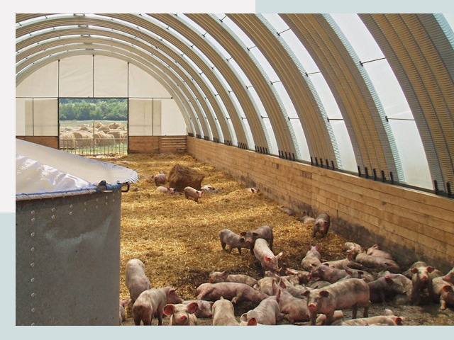 Строительство свинарников в Соли-Илецке