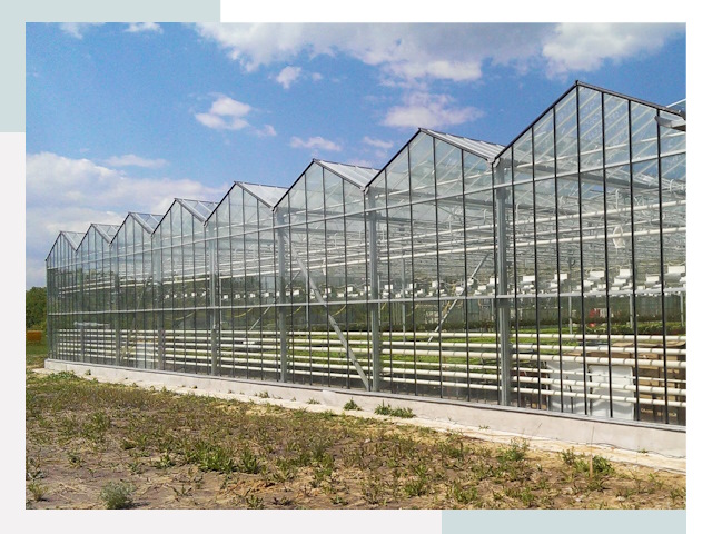 Строительство теплиц в Соль-Илецк от 625 руб. за м²