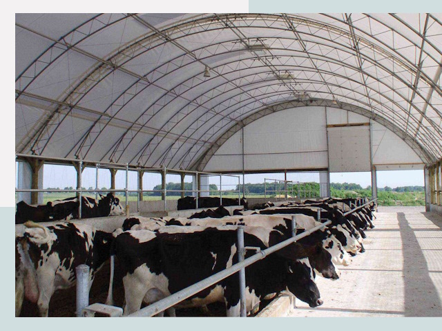 Тентовые коровники в Соли-Илецке